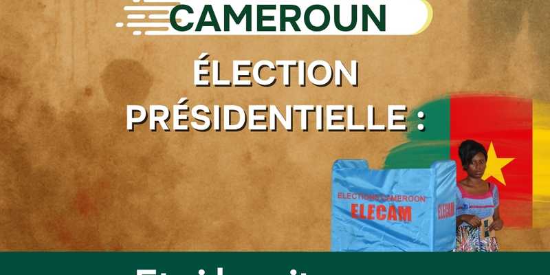 Élection présidentielle au Cameroun: et si les citoyens reprenaient le pouvoir ?